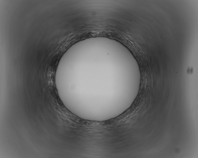 X0000091010770200708021405