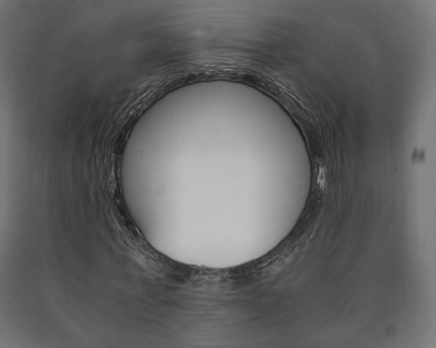X0000091010771200708021405