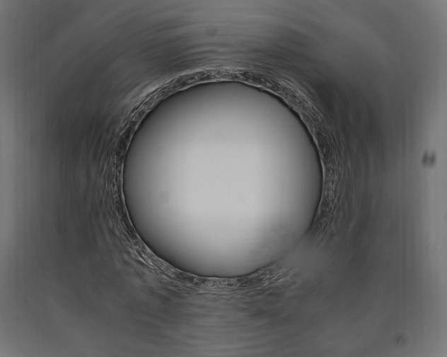 X0000091010773200708021405