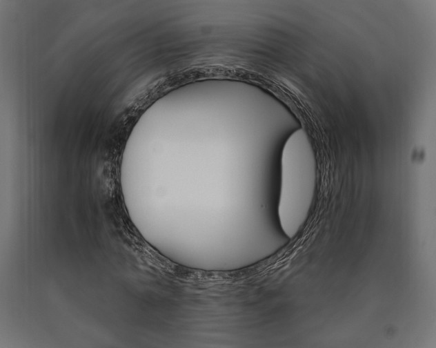 X0000091010774200708021405