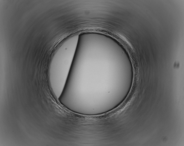 X0000091010777200708021405