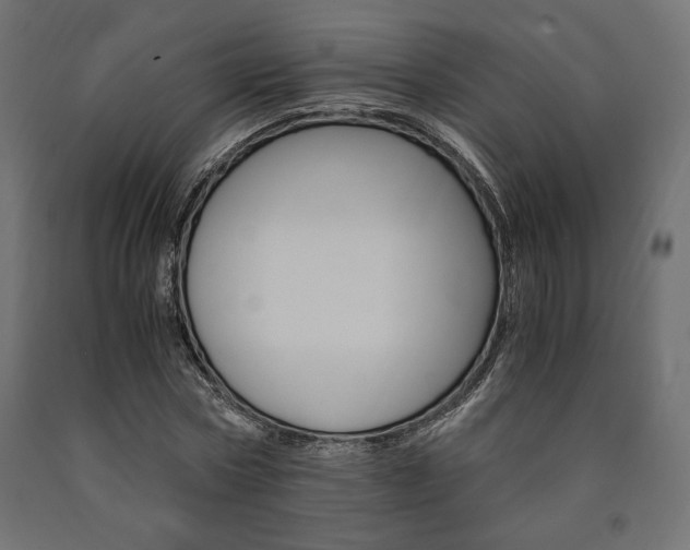 X0000091010778200708021405