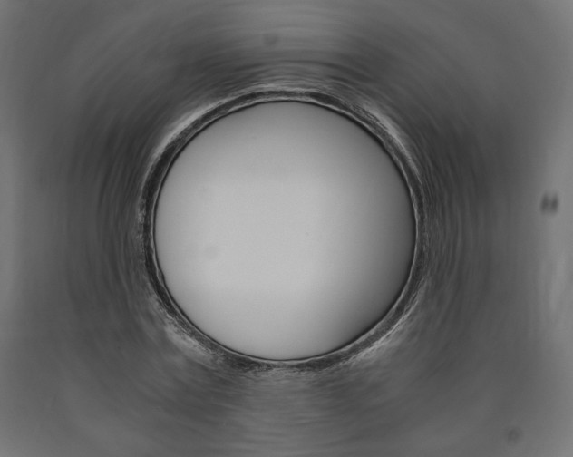 X0000091010779200708021405