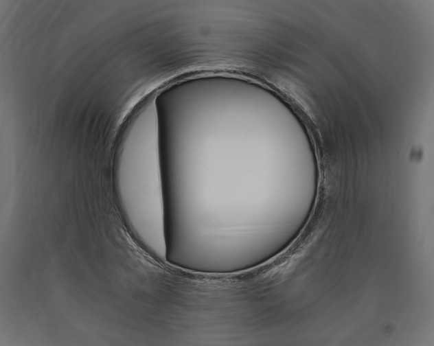 X0000091010781200708021405