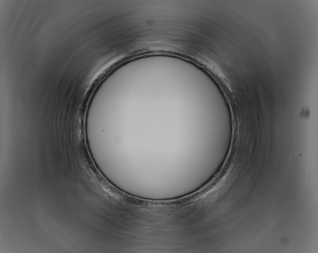 X0000091010782200708021405