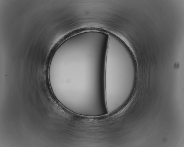 X0000091010783200708021405