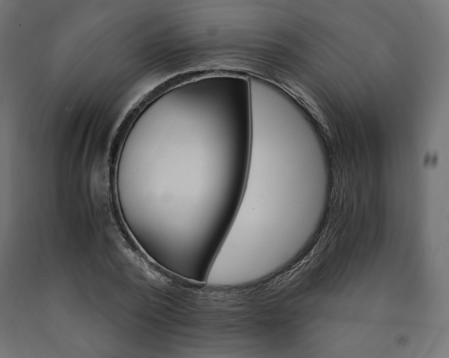 X0000091010784200708021405
