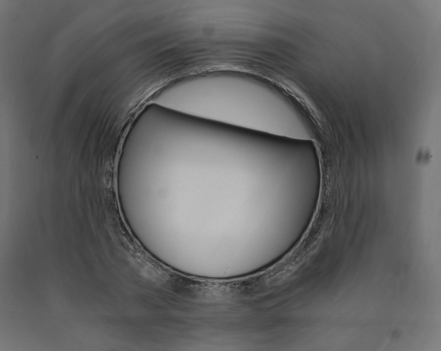 X0000091010785200708021405