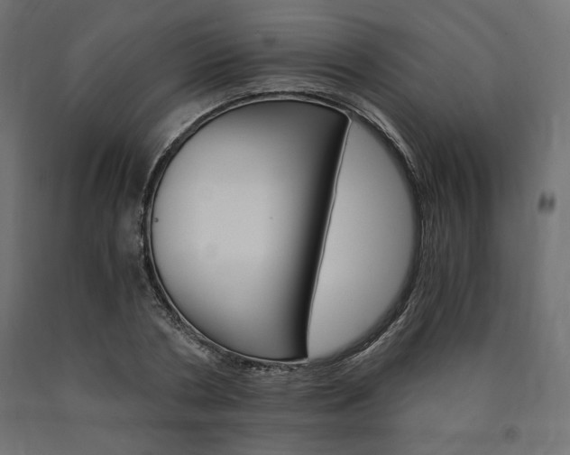 X0000091010786200708021405