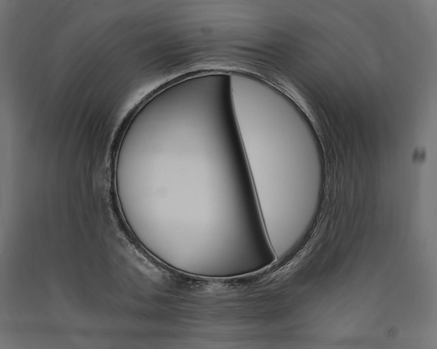 X0000091010787200708021405