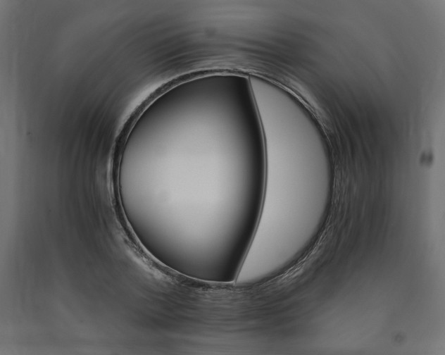X0000091010788200708021405