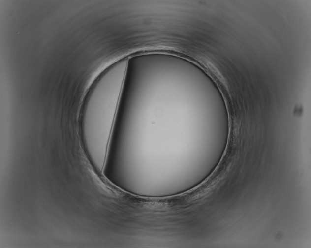 X0000091010789200708021405