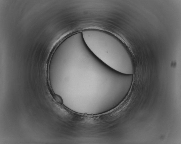 X0000091010790200708021405