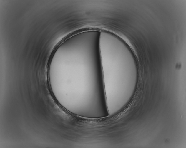 X0000091010791200708021405