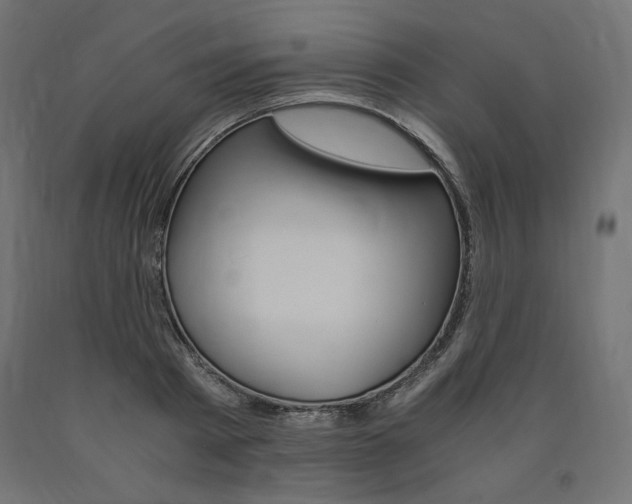 X0000091010793200708021405