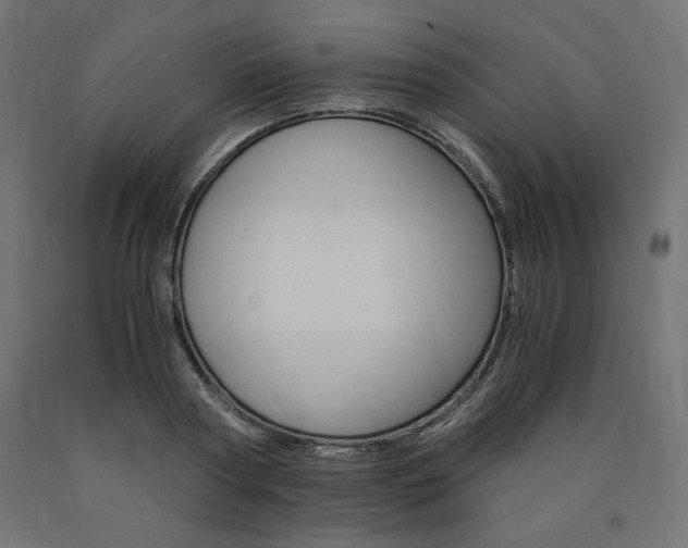 X0000091010794200708021405