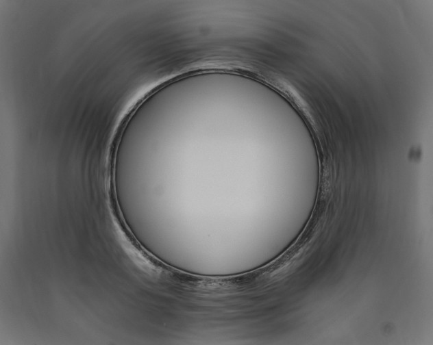 X0000091010795200708021405