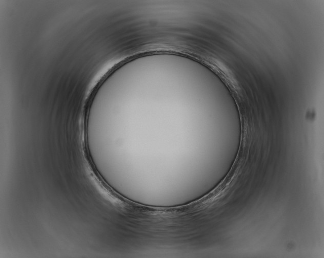 X0000091010796200708021405