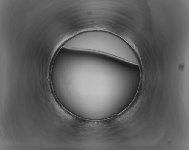 X0000091010797200708021405