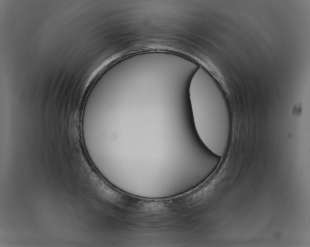 X0000091010798200708021405