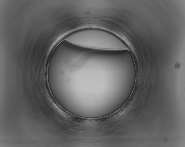 X0000091010799200708021405
