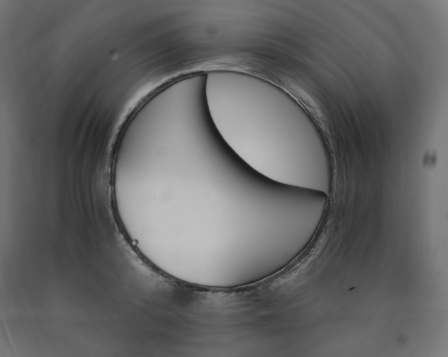 X0000091010800200708021405