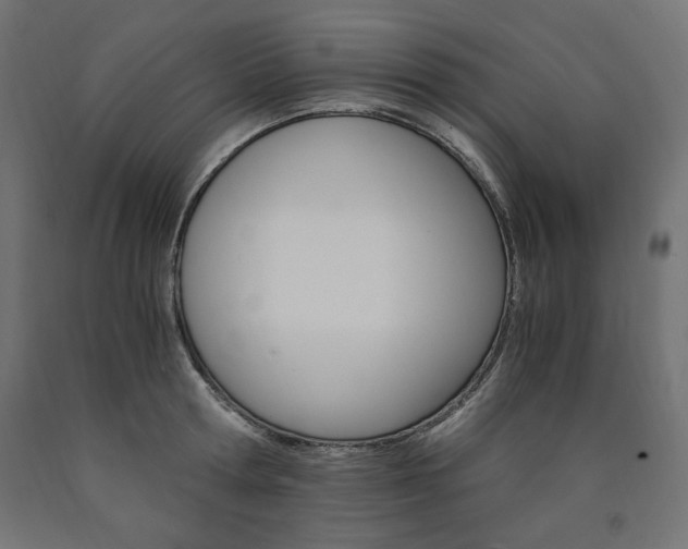 X0000091010802200708021405