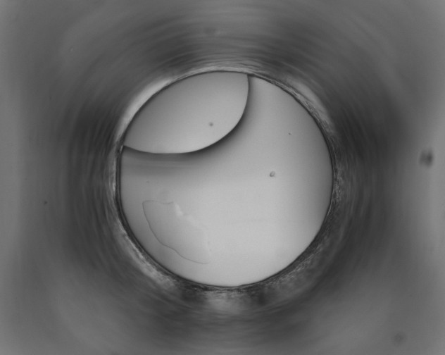 X0000091010804200708021405