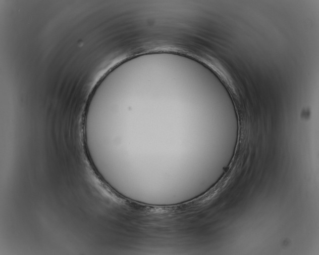 X0000091010806200708021405