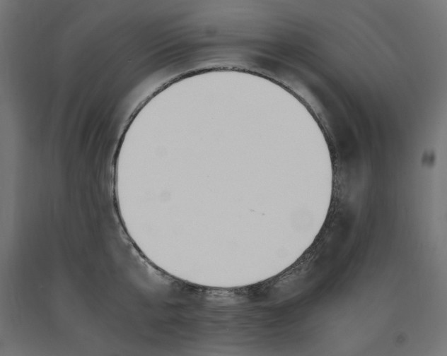 X0000091010807200708021405