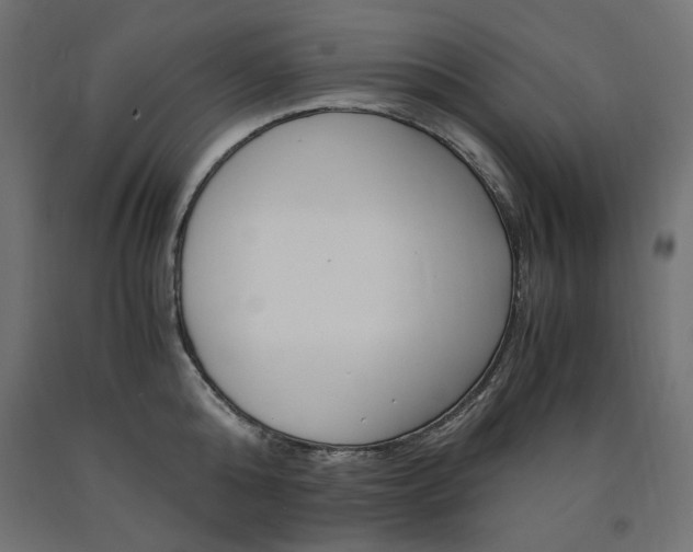 X0000091010808200708021405