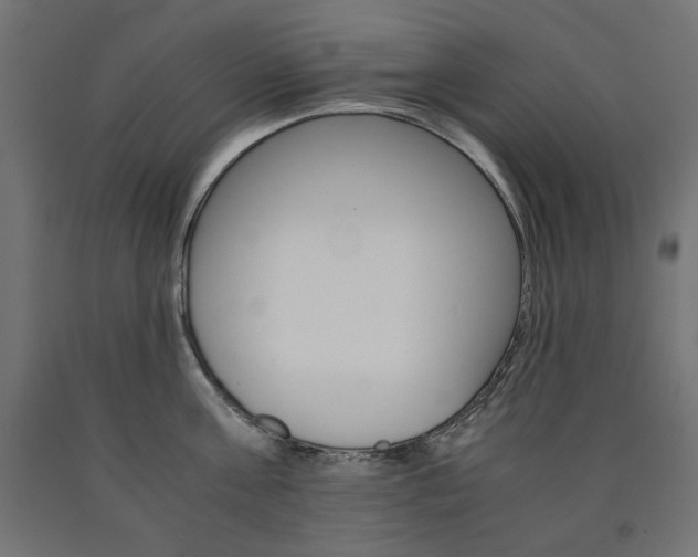 X0000091010811200708021405