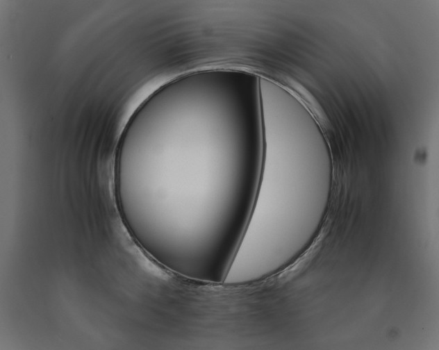 X0000091010812200708021405