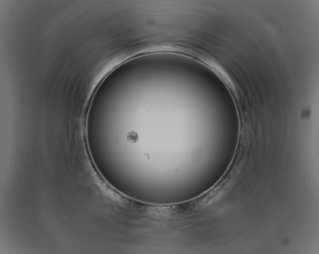 X0000091010813200708021405
