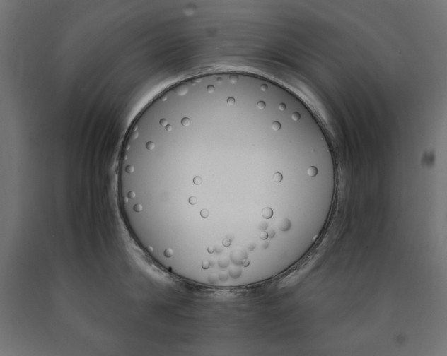 X0000091010814200708021405