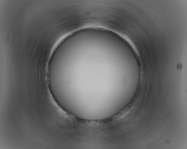X0000091010815200708021405