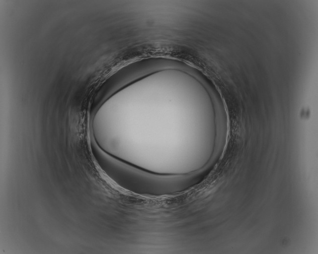 X0000091010818200708021404