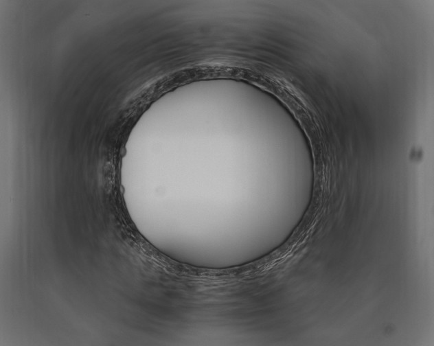 X0000091010821200708021404