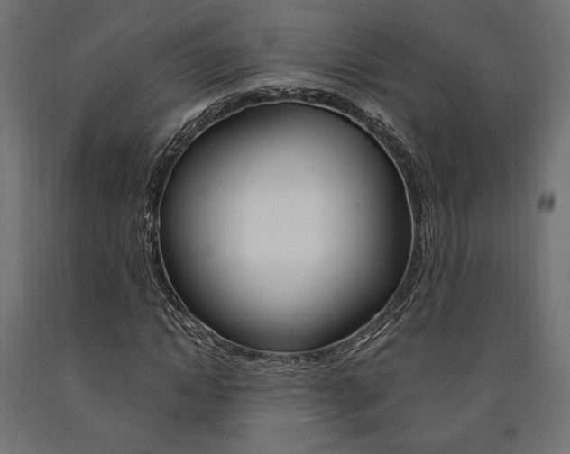X0000091010822200708021404
