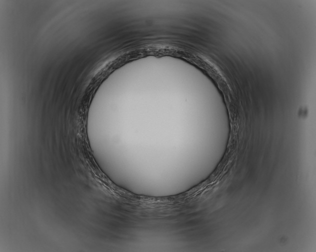 X0000091010823200708021404