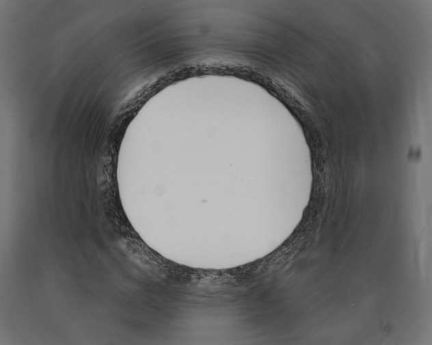 X0000091010824200708021404