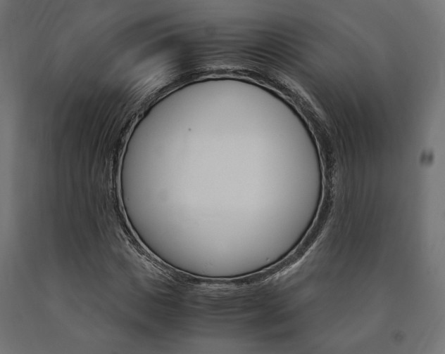 X0000091010825200708021404