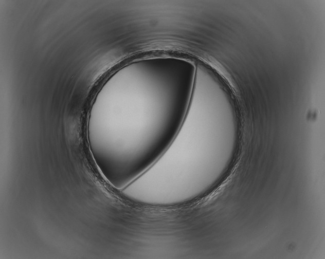 X0000091010826200708021404