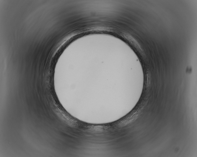 X0000091010828200708021404