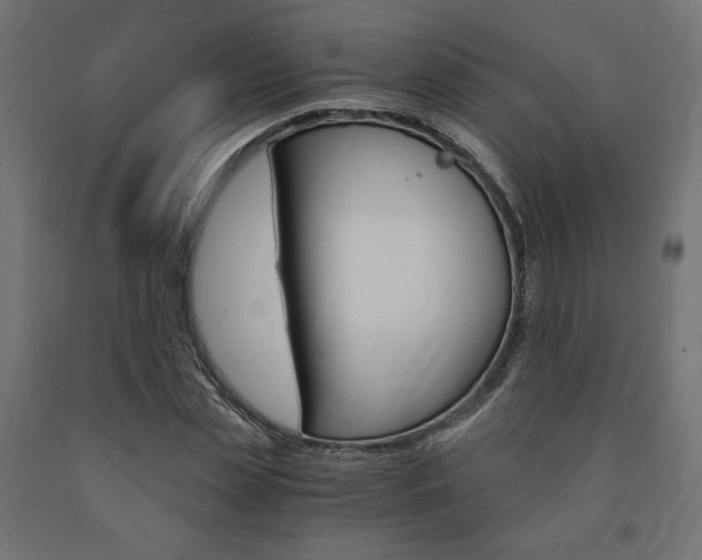 X0000091010829200708021404