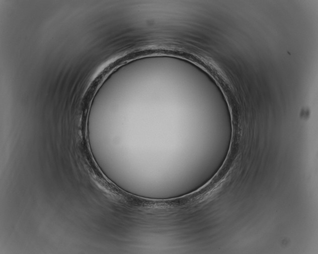 X0000091010830200708021404