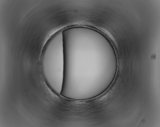 X0000091010831200708021404