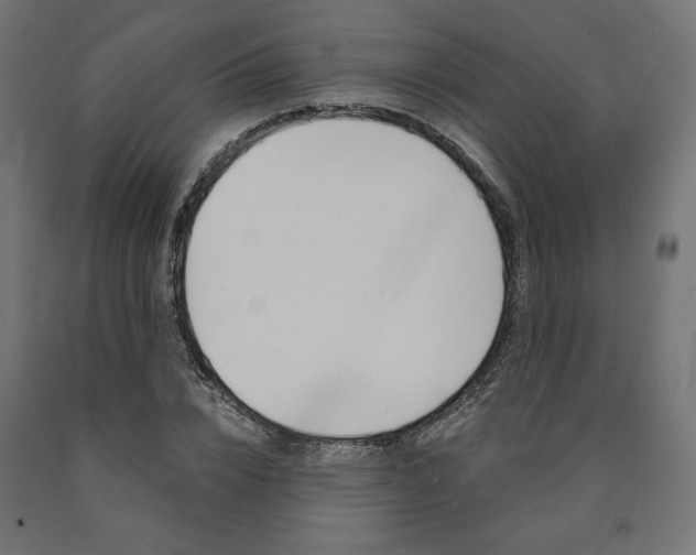 X0000091010832200708021404