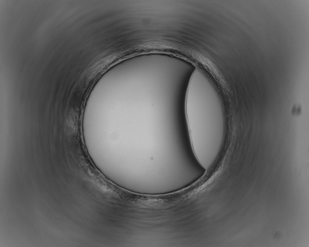 X0000091010833200708021404