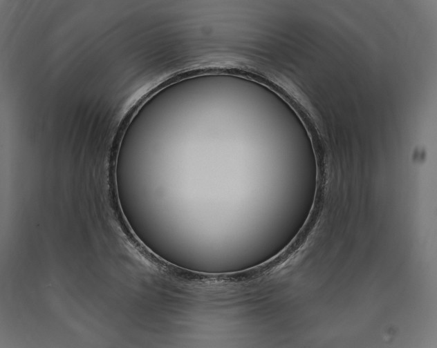 X0000091010834200708021404